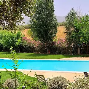 Bodega El Juncal Spanien